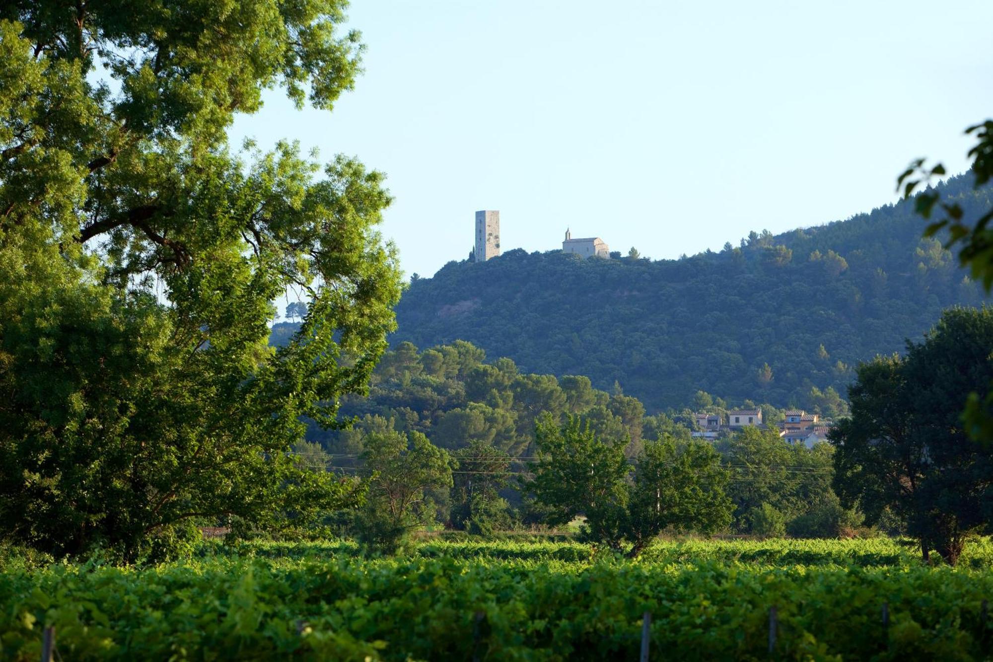 Chateau De Saint Martin Taradeau Esterno foto